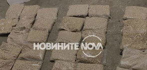ГДБОП залови амфетамин за близо 1.5 млн. лв. в Бургас (СНИМКИ)