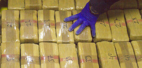 Митничари откриха 150 кг кокаин в пратка с банани в Бургас