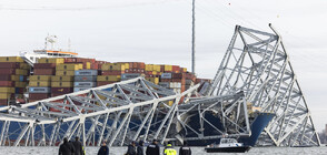 Товарен кораб срути мост на магистрала в САЩ, 6 души са в неизвестност (ВИДЕО+СНИМКИ)