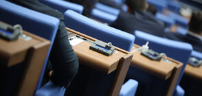 Депутатите спориха за конституционната процедура, „Турски поток” и заплатите си (ОБЗОР)