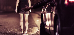 „Темата на NOVA” в аванс: Ще промени ли Европа регулациите за проституцията
