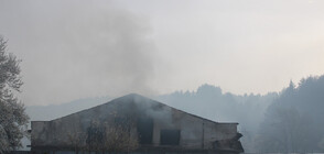 Пожар пламна в близост до ферма в добричко село