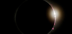 Милиони наблюдаваха пълното слънчево затъмнение (СНИМКИ+ВИДЕО)