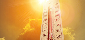 НИМХ: 2023 г. е най-топлата в България от близо 100 години