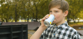 Депутати искат да забранят продажбата на енергийни напитки на деца