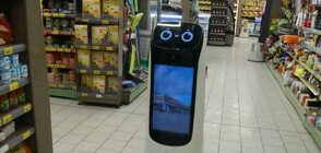 Запознайте се с Абсолютко – роботът, който работи в супермаркет в Павликени (ВИДЕО)