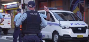 Шест души загинаха при атака с нож в Сидни
