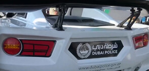 Как работи полицията в Дубай