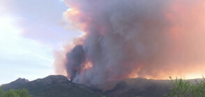 Огромен пожар в испанската провинция Аликанте, евакуират хората (ВИДЕО)