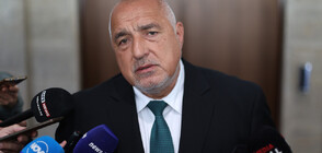 Борисов предлага Фандъкова да бъде включена в депутатските листи на ГЕРБ