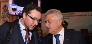 Caretaker PM Glavchev proposes Stefan Dimitrov's replacement as Foreign Minister by GERB MP Daniel Mitov
