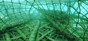 „Призрачните мрежи” – невидимата заплаха във водите на океаните (ВИДЕО)