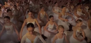 Рекорд: 353 балерини се събраха на пръсти в зала в Ню Йорк (ВИДЕО)