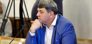Петър Тодоров: Виждал съм Стефан Димитров да чака пред кабинета на Бойко Рашков
