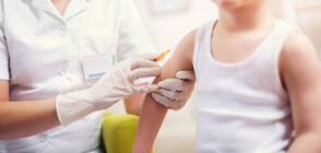 Фармацевт: Няма наличност на ваксини за коклюш