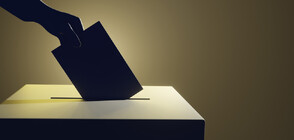Справките за ТЕЛК на желаещите да гласуват в мобилна секция - вече онлайн