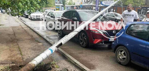 Кран, движещ се се вдигната стрела, събори стълб и жици в София (СНИМКИ)