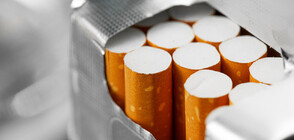 Арестуваха 15 българи в Испания за производство на фалшиви цигари