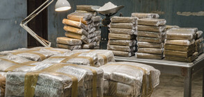 Заловиха в Гърция над 10 тона кокаин, скрит сред тор (СНИМКИ)