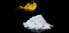 Откриха над 200 кг е кокаин в щайги с банани в Германия