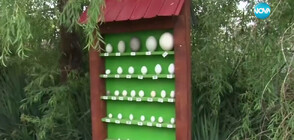 Великденска изложба: В Бургас показват екзотични птичи яйца