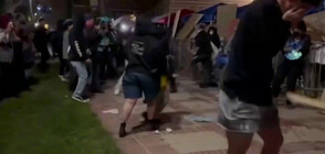 Кървави сблъсъци в университет в САЩ между пропалестински и произраелски протестиращи