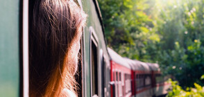 „Числата на седмицата“: Влаковете ни са 40-годишни, всеки десети закъснява средно с 33 минути