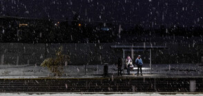 Рядко явление: Сняг падна в чилийската столица Сантяго (ВИДЕО)
