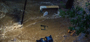 Пороен дъжд с градушка в Плевен, има наводнения и закъсали коли (ВИДЕО+СНИМКИ)