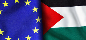 Няколко страни от ЕС ще признаят държавата Палестина на 21 май