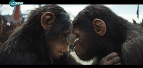 "Кралството на планетата на маймуните" - сблъсък за господство (ВИДЕО)