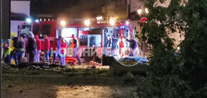 Двама младежи загинаха при тежка катастрофа в Пловдив (ВИДЕО+СНИМКИ)