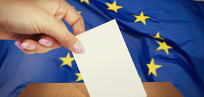 ЕК: 54% от младите българи смятат да гласуват на европейските избори