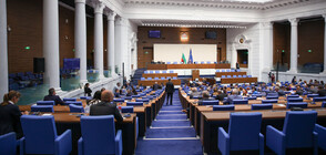49-ото Народно събрание е приело 148 закона и е взело 286 решения