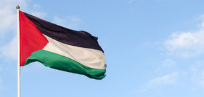 Ирландия ще признае държавата Палестина