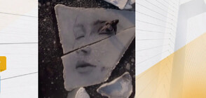 Художник прави портрети върху плаващи ледени късове (ВИДЕО)