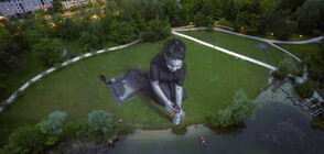В парк в Цюрих се появи гигантска рисунка (ВИДЕО)