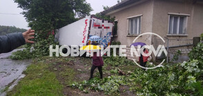 Тир отсече 3 дървета, електрически стълб и се блъсна в къща във Врачанско
