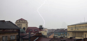 Продължава възстановяването след бурята в София (ВИДЕО)
