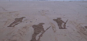 Десетки пясъчни фигури на войници се появиха на британски плаж (ВИДЕО)
