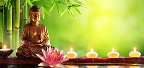 Рожденият ден на Буда: Как Виетнам отбелязва празника (ВИДЕО+СНИМКИ)