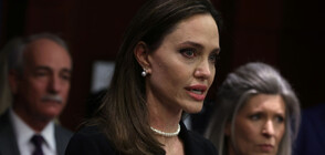 Анджелина Джоли загуби съдебна битка срещу Брад Пит