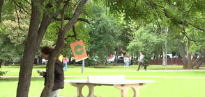 „Приключение с букви”: Деца търсят скрити символи в столичен парк