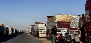 ООН: Близо 1000 камиона с хуманитарни помощи са влезли в Газа от началото на инвазията в Рафа