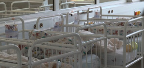 Кенгуру-грижата - в помощ на недоносени бебета (ВИДЕО)