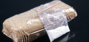 Откриха голямо количество кокаин в контейнер със замразени калмари в Гърция