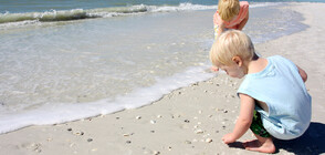 Глобиха с над 88 000 долара майка, чиито деца събирали миди от плаж в Калифорния
