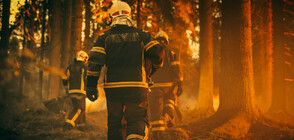 Мощен пожар бушува край хърватския град Сплит