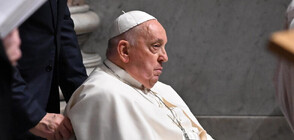 Папа Франциск: Да се натъкнеш на мигрант е като да се натъкнеш на Христос