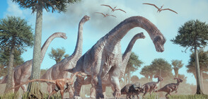 Археолози откриха нов вид динозавър в Африка (СНИМКИ)